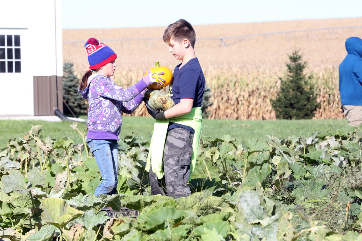 St Joseph Pumpkin Patch (4).jpg